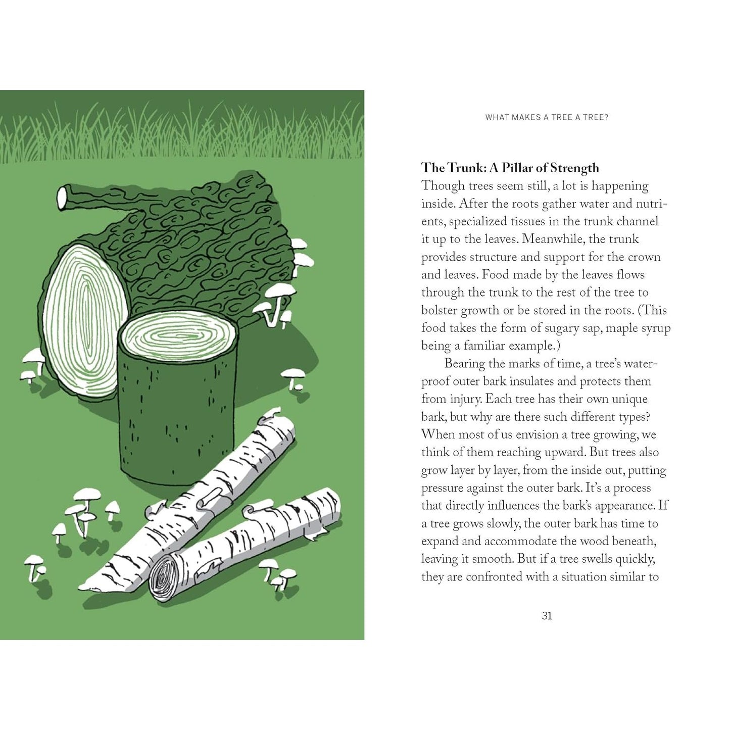 POCKET NATURE: TREE HUGGING - SEEK WISDOM IN THE FOREST