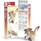 EUGY RAPTOR