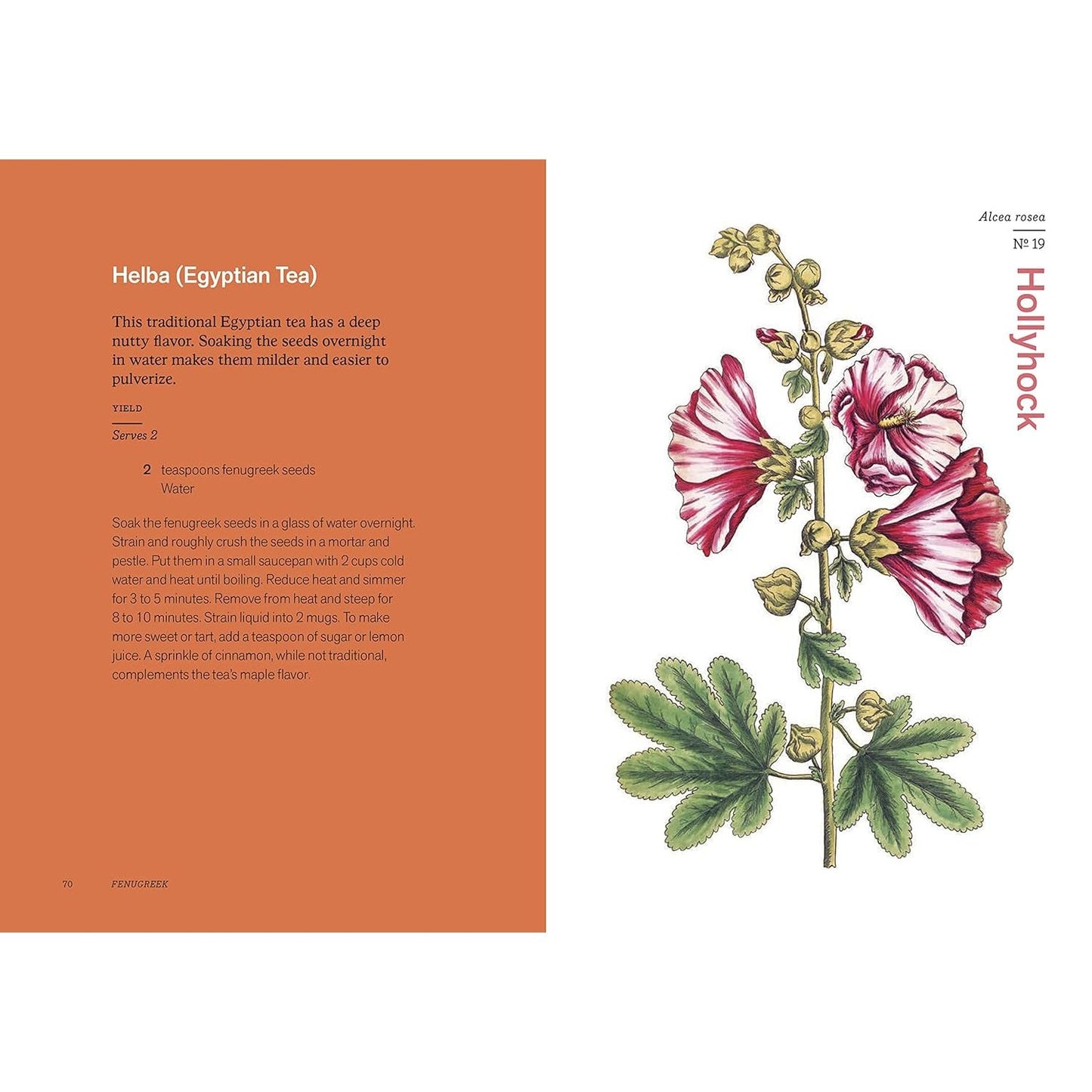 HERBAL HANDBOOK BY THE NEW YORK BOTANICAL GARDEN