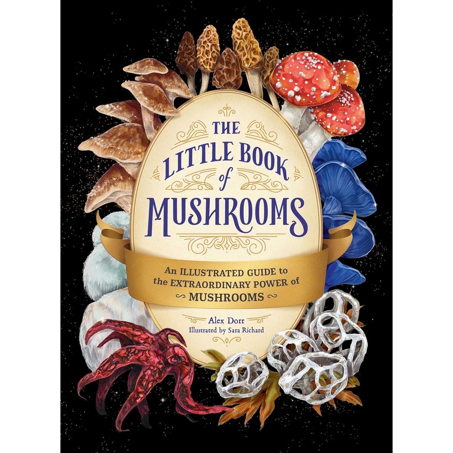 THE LITTLE BOOK OF MUSHROOMS: AN ILLUSTRATED GUIDE TO EXTRAORDINARY POWER OF MUSHROOMS BY ALEX DORR