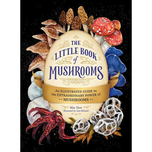 THE LITTLE BOOK OF MUSHROOMS: AN ILLUSTRATED GUIDE TO EXTRAORDINARY POWER OF MUSHROOMS BY ALEX DORR