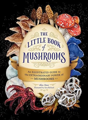 THE LITTLE BOOK OF MUSHROOMS: AN ILLUSTRATED GUIDE TO EXTRAORDINARY POWER OF MUSHROOMS BY ALEX DORR