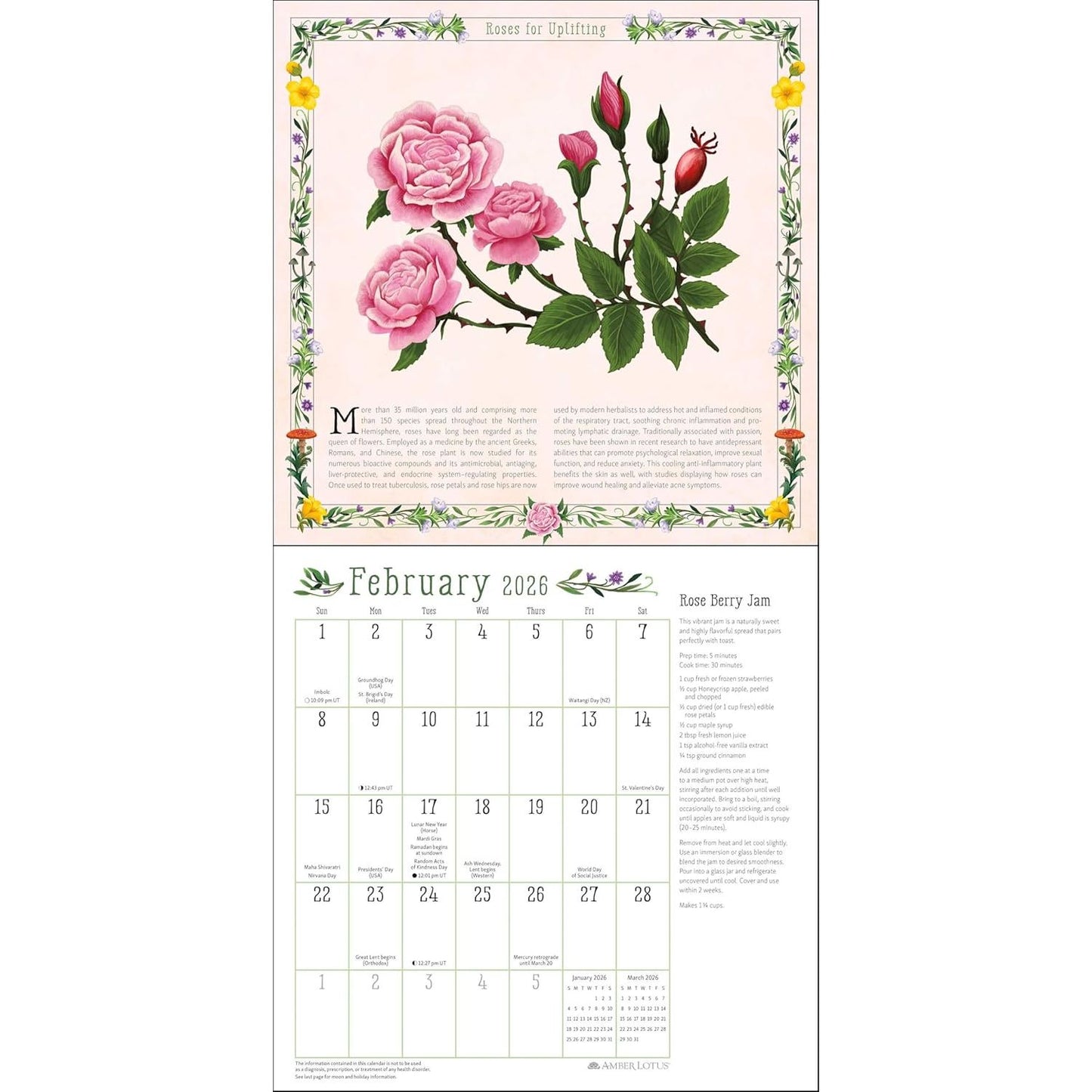 KITCHEN WITCH WALL CALENDAR 2026