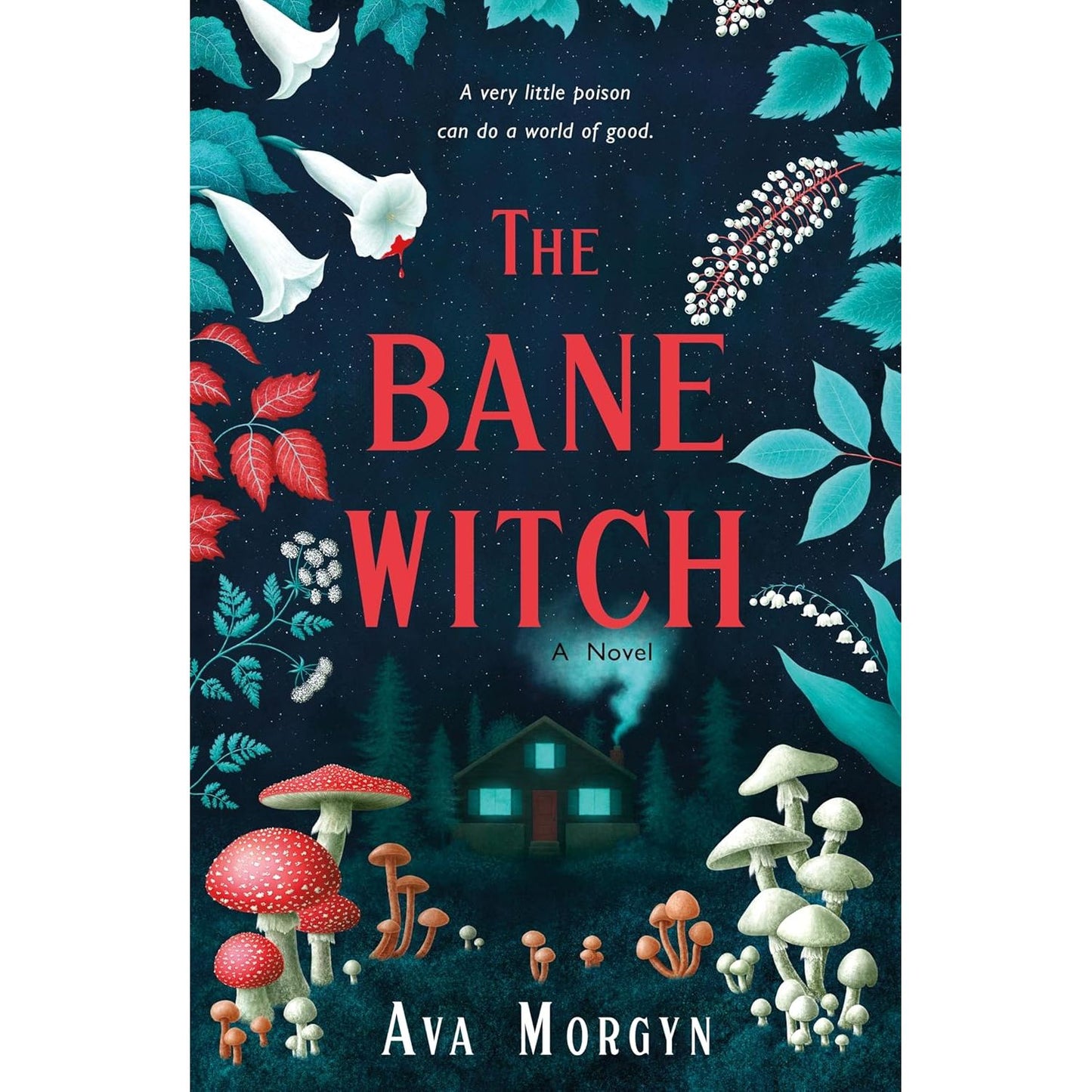 THE BANE WITCH BY AVA MORGYN