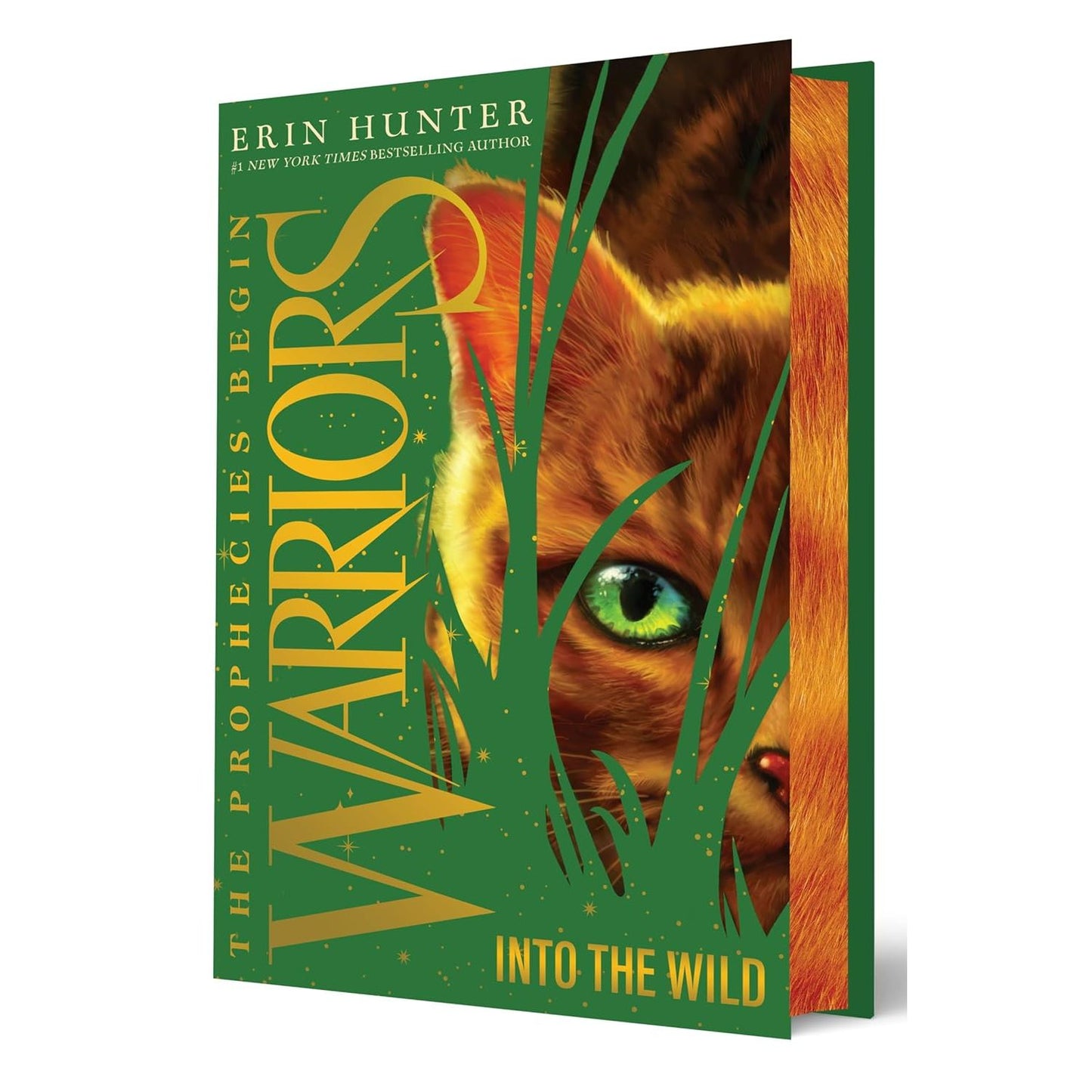 \WARRIORS: THE PROPHEIES BEGINS- INTO THE WILD BY ERIN HUNTER (DELUXE LIMITED EDITION)