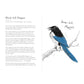 THE FIELD GUIDE TO THE WORST BIRDS EVER BY MATT KRACHT