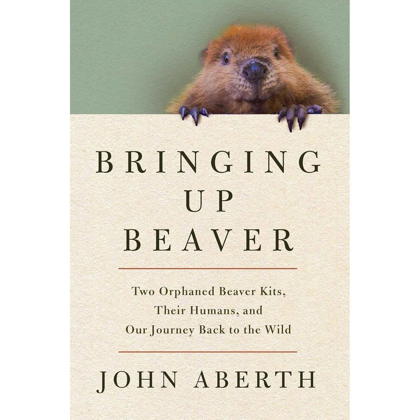 BRINGING UP BEAVER BY JOHN ABERTH