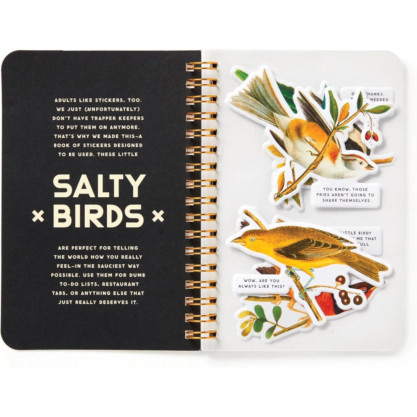 SALTY BIRDS STICKER BOOK