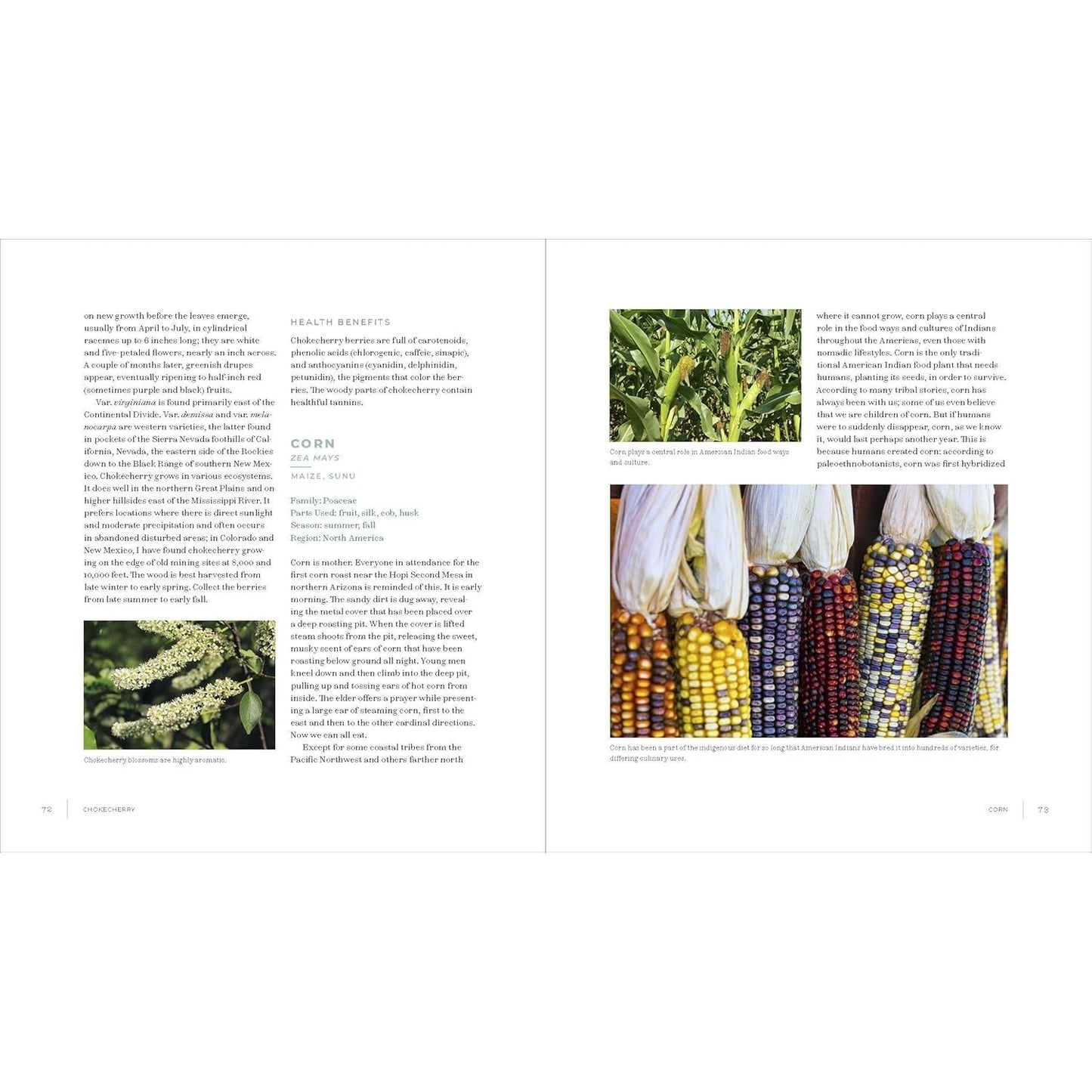 IWIGARA: THE KINSHIP OF PLANTS AND PEOPLE, AMERICAN INDIAN ETHNOBOTANICAL TRADITIONS AND SCIENCE BY ENRIQUE SALMON