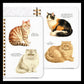 MOODY CATS STICKER BOOK