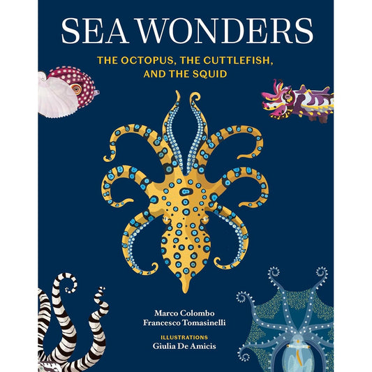 SEA WONDERS: THE OCTOPUS, THE CUTTLEFISH, AND THE SQUID BY MARCO COLOUMBO & FRANCESCO TOMASINELLI WITH ILLUSTRATIONS BY GIULIA DE AMICIS
