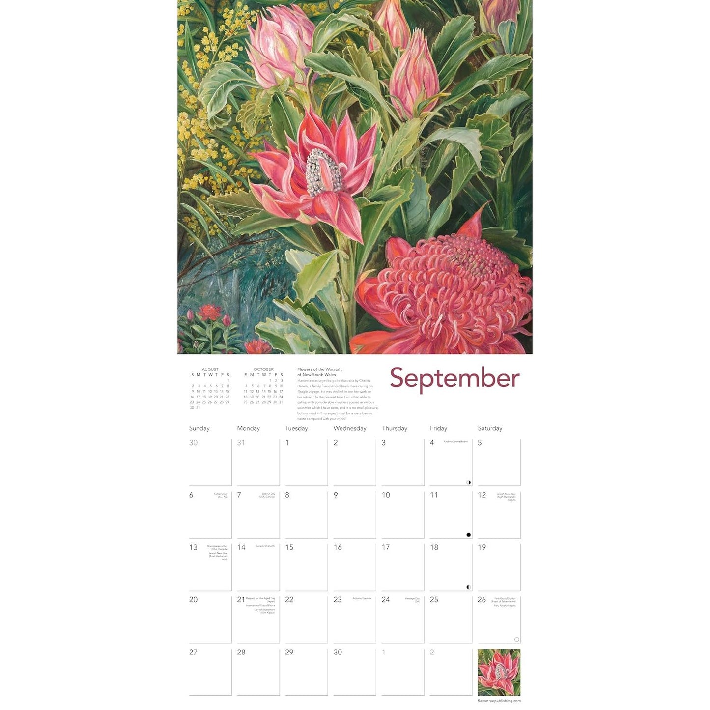 EXOTIC PLANTS WALL CALENDAR 2026