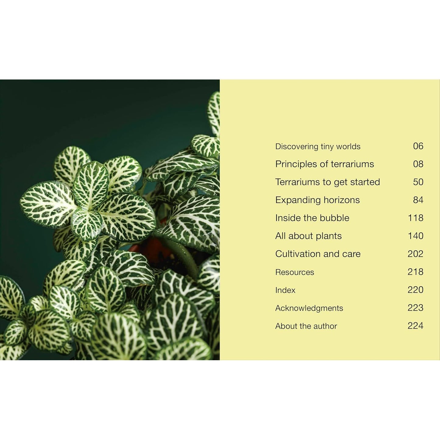 HELLO TINY WORLD BY BEN NEWELL