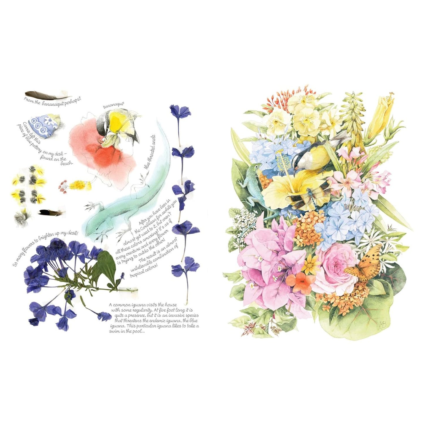 INSPIRED BY NATURE SKETCHBOOK BY MARJOLEIN BASTIN