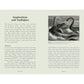 POCKET BOOK OF DRAGONS: MYTH, MAGIC, & MEANING BY JOEL LEVY