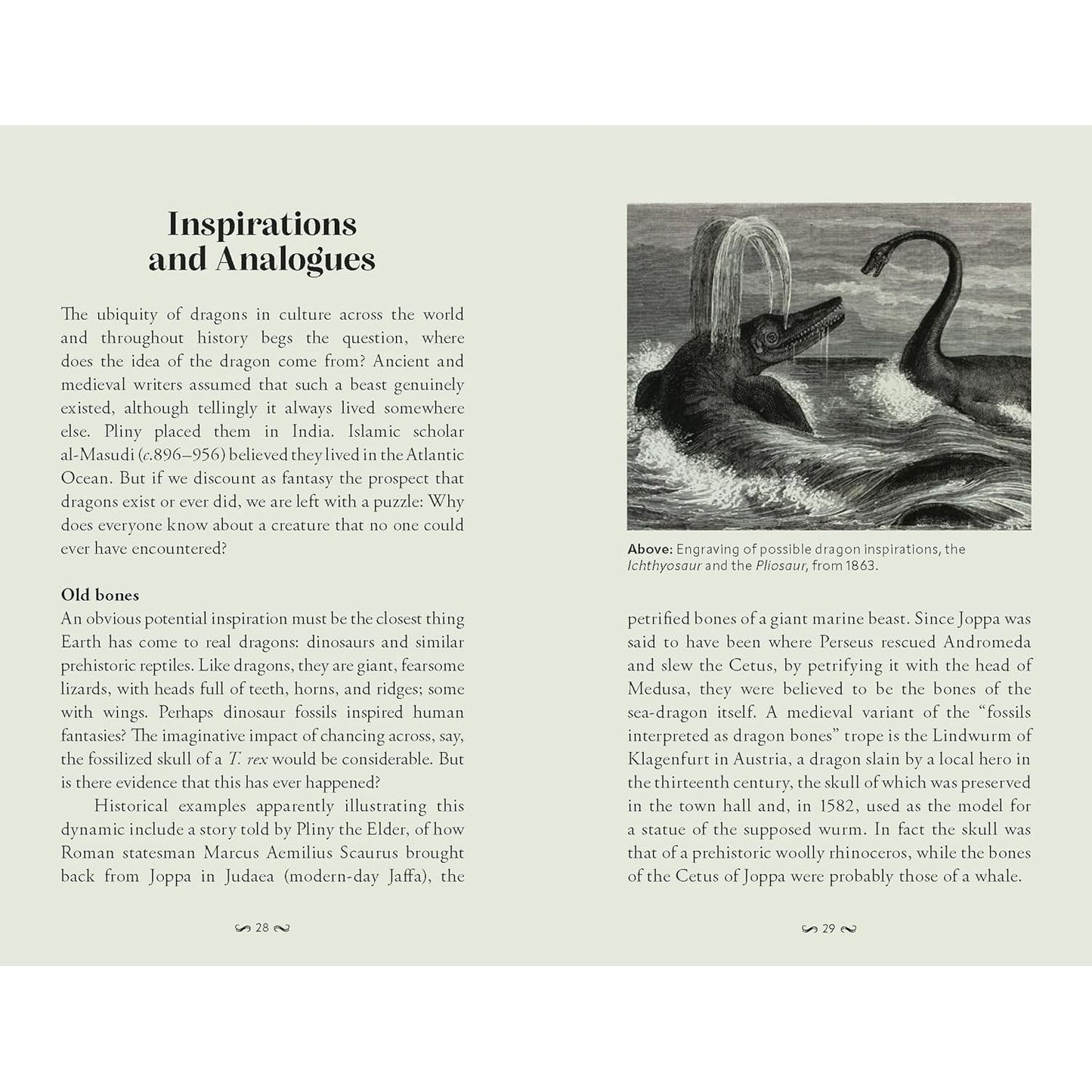 POCKET BOOK OF DRAGONS: MYTH, MAGIC, & MEANING BY JOEL LEVY