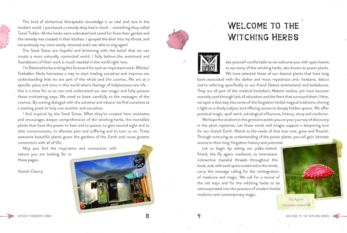WITCHES' FORBIDDEN HERBS: A PRACTICAL GUIDE TO INFAMOUS PLANTS FOR MAGIC AND MEDICINE BY THE SEED SISTAS, ILLUSTRATED BY SILVA DE MAJO