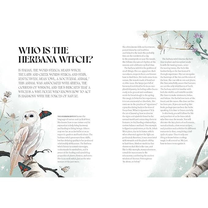 HERBANA WITCH: A YEAR IN THE FOREST BY CECILIA LATTARI