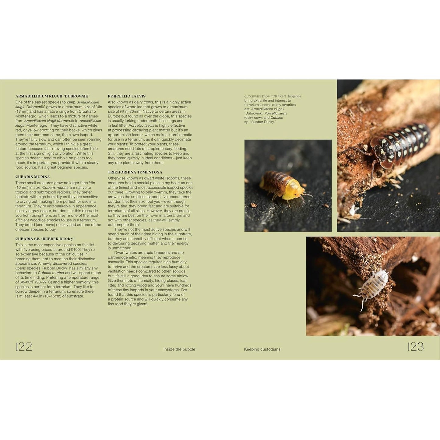 HELLO TINY WORLD BY BEN NEWELL