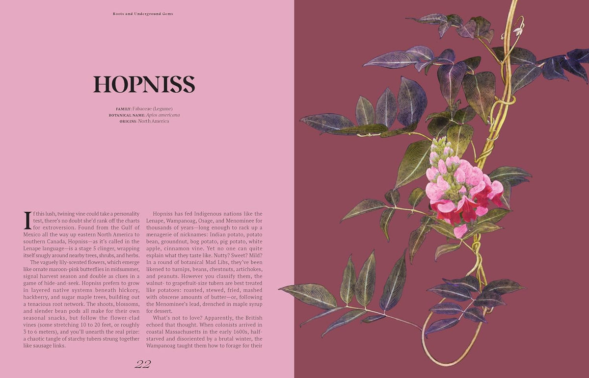 THE CURIOUS LIVES OF VEGETABLES BY ALI FRANCIS, ILLUSTRATED BY ADRIANA PICKER