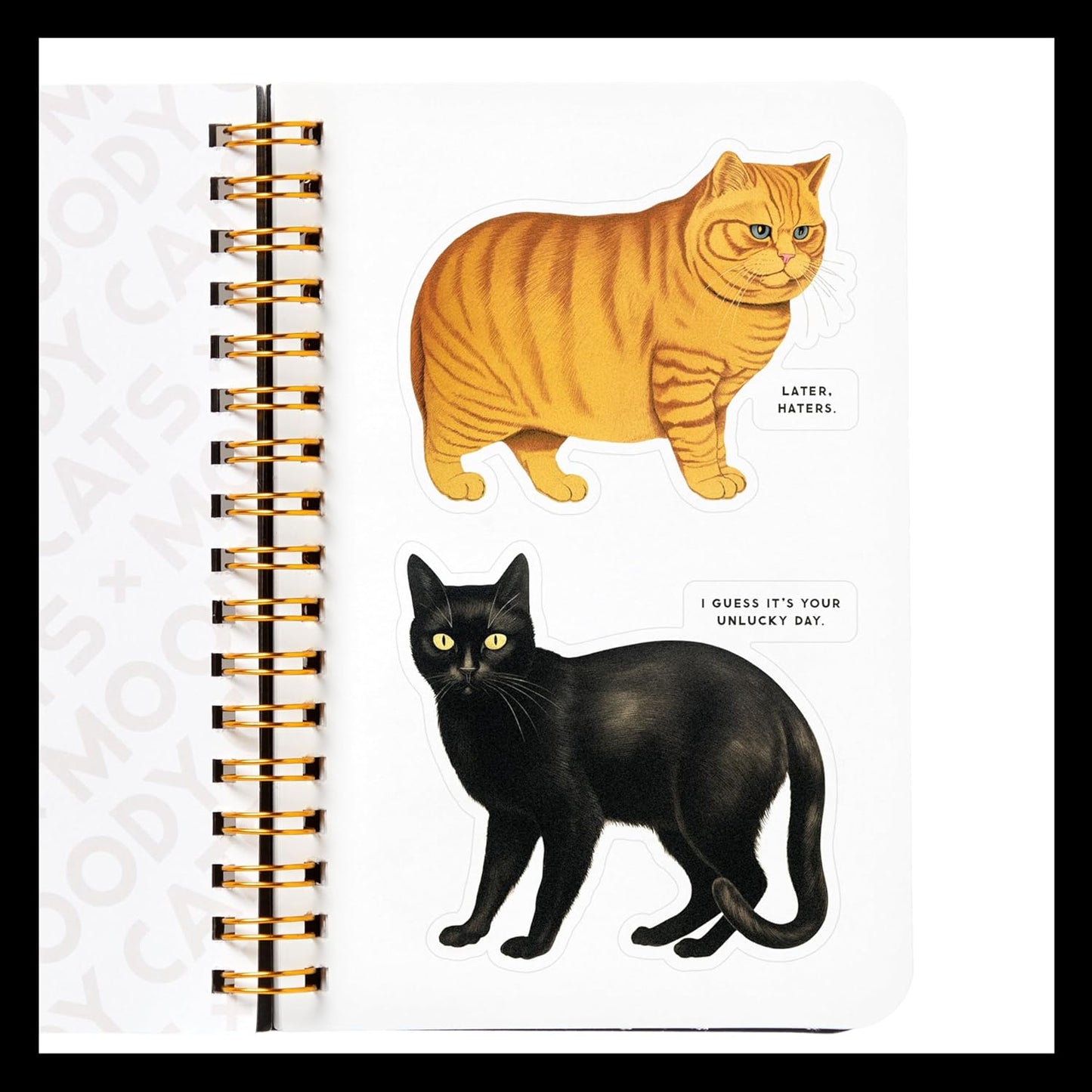 MOODY CATS STICKER BOOK