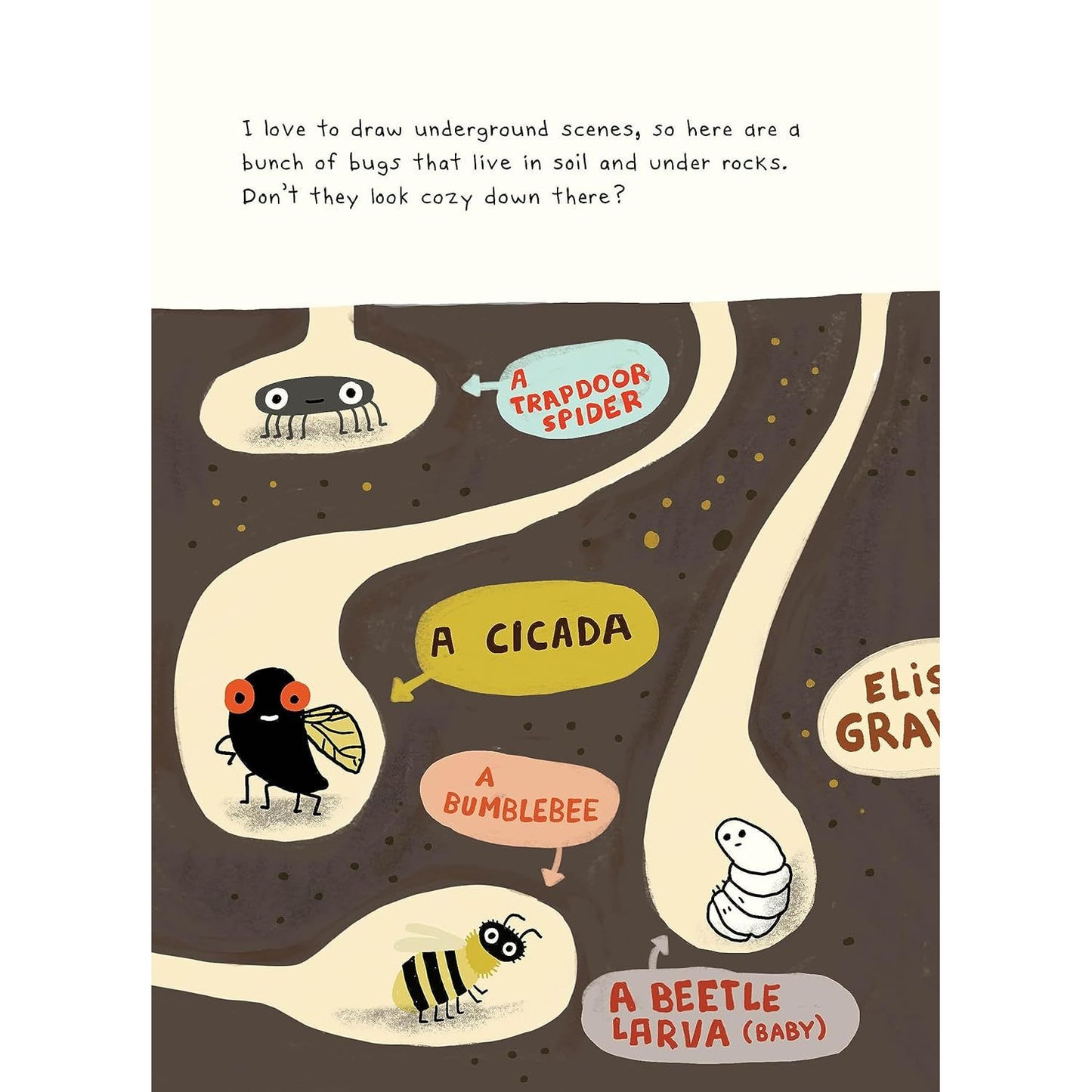 THE BUG CLUB BY ELISE GRAVEL