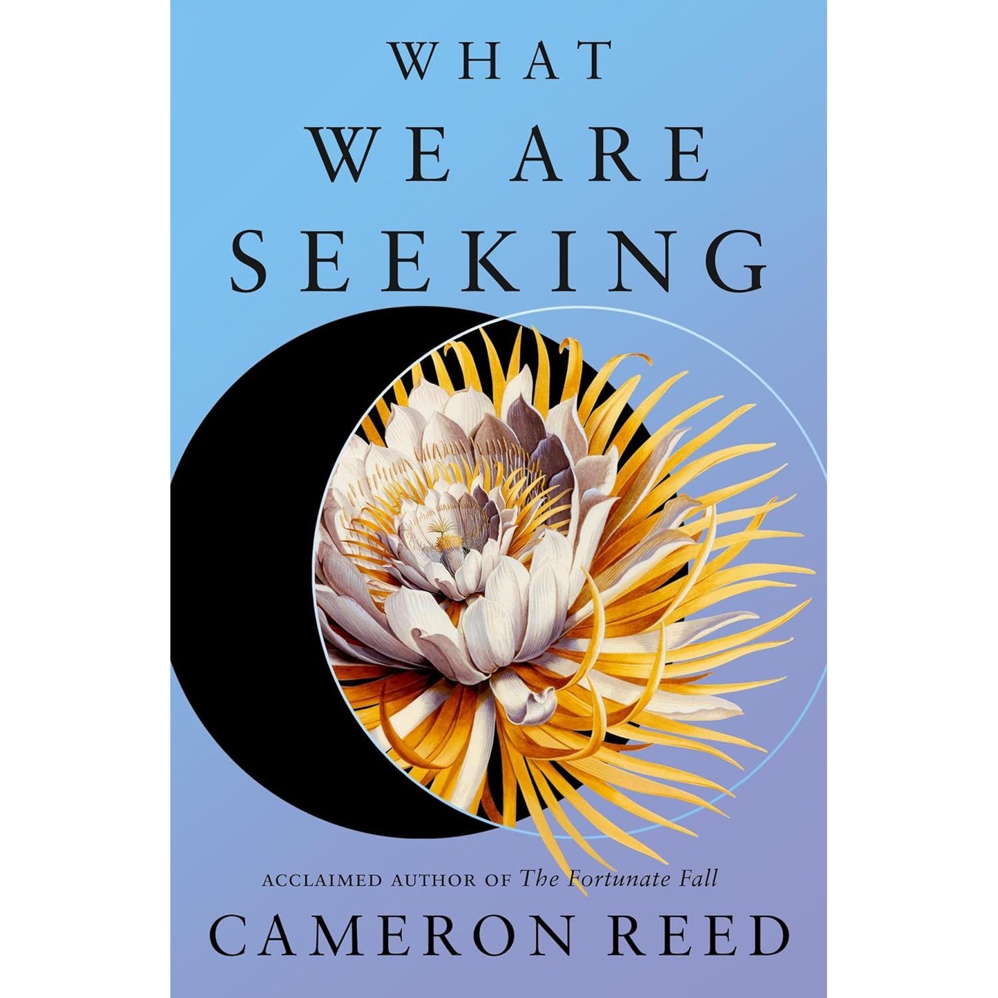 WHAT WE ARE SEEKING BY CAMERON REED