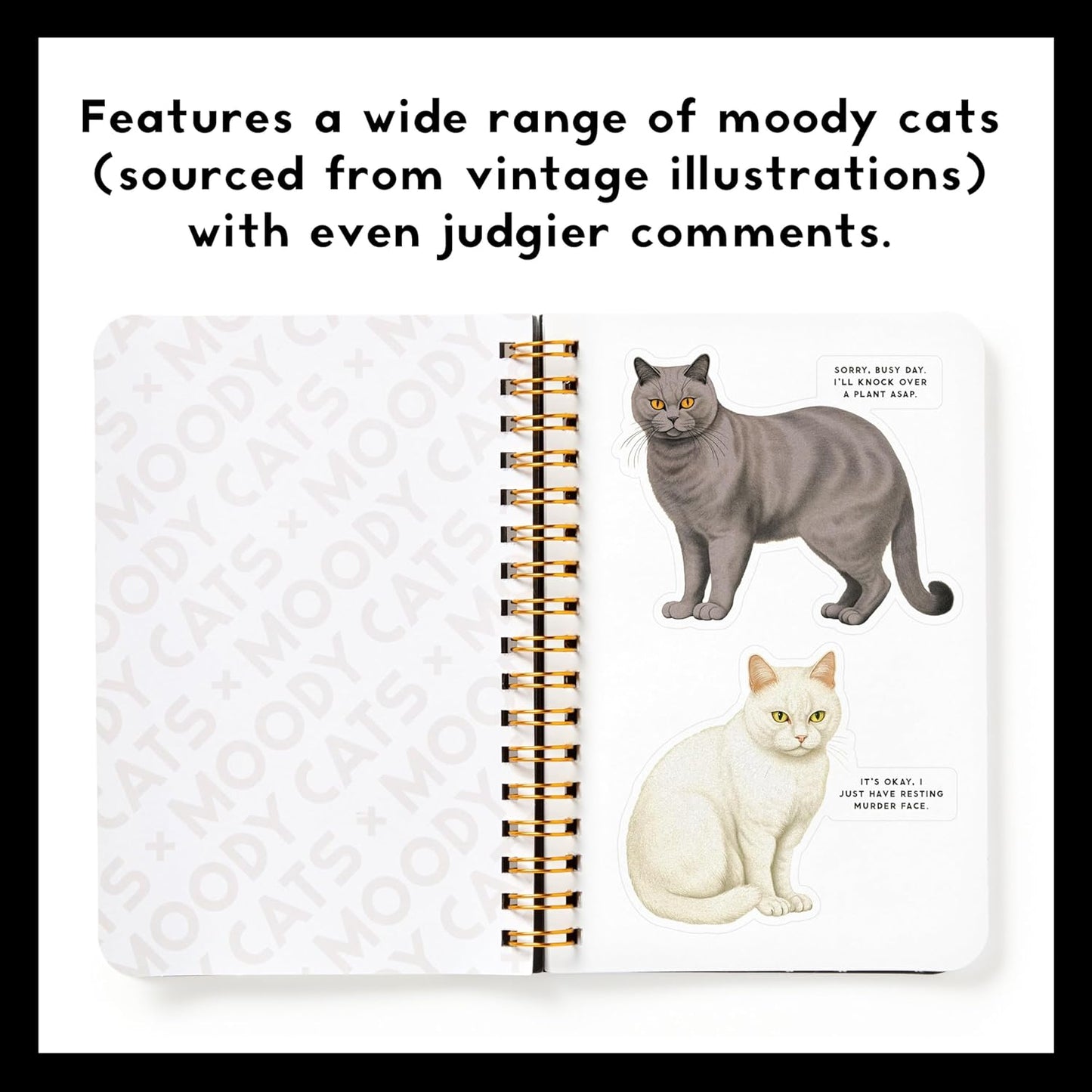 MOODY CATS STICKER BOOK