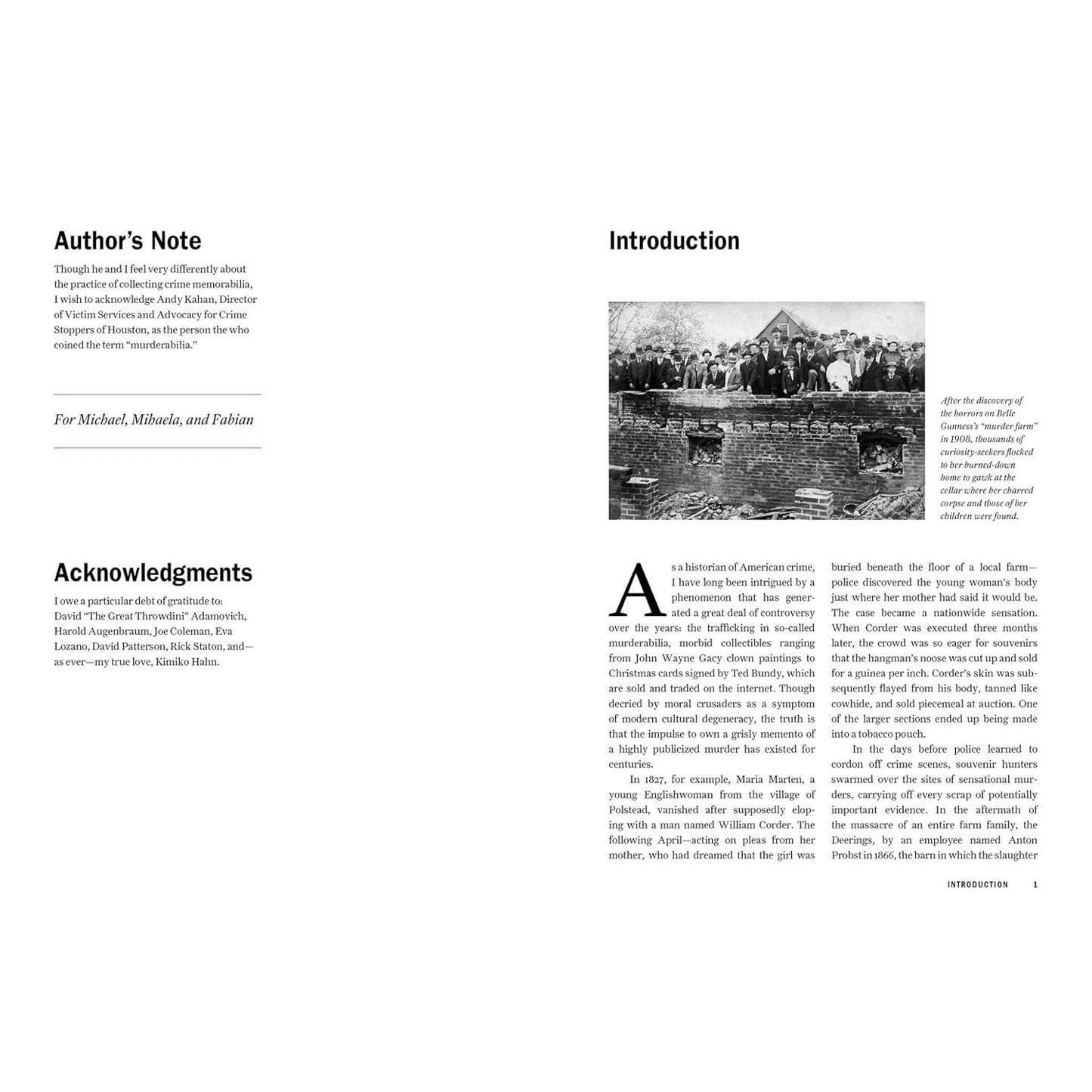 MURDERABILIA: A HISTORY OF CRIME IN 100 OBJECTS BY HAROLD SCHECHTER