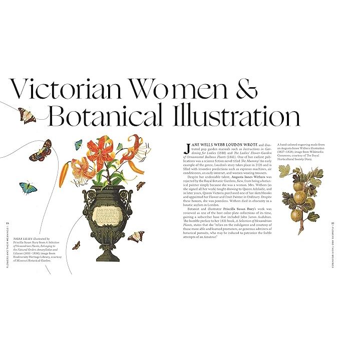 FLOWERS AND THEIR MEANINGS: THE SECRET LANGUAGE AND HISTORY OF OVER 600 BLOOMS BY KAREN AZOULAY