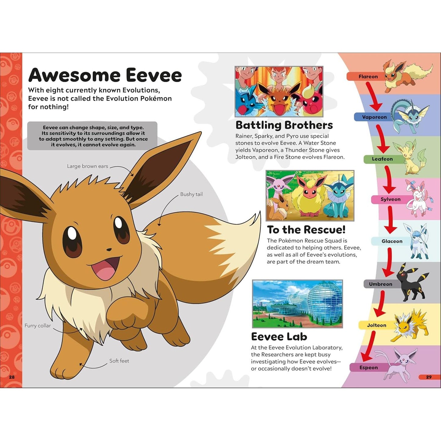 POKEMON: BOOK OF EVOLUTIONS