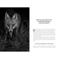 LIVING NIGHT: ON THE SECRET WONDERS OF WILDLIFE AFTER DARK BY SOPHIA KIMMIG