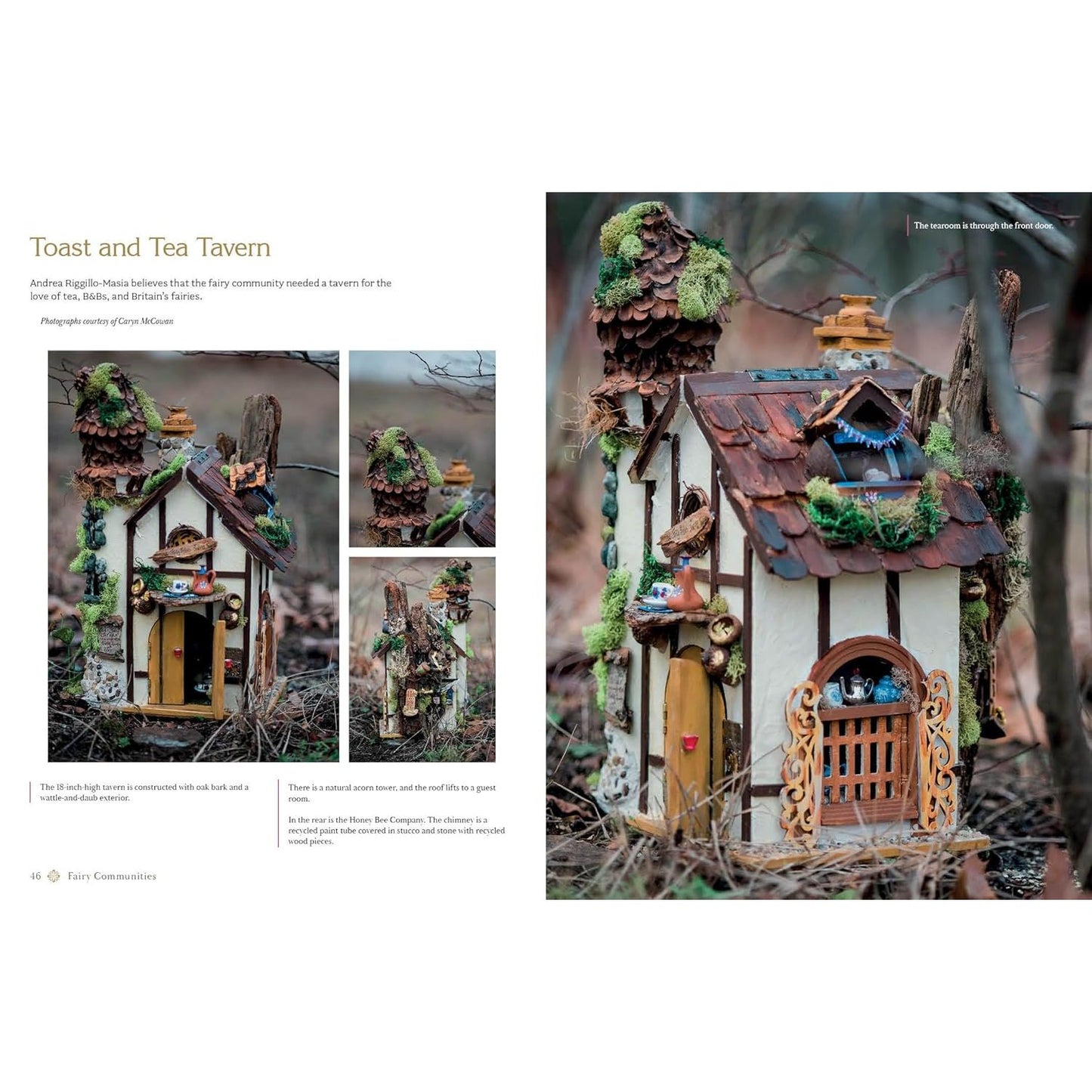 MAGICAL FAIRY HOMES AND GARDENS BY BARBARA PURCHIA AND E. ASHLEY ROONEY
