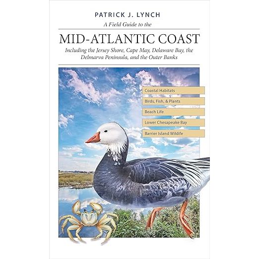 A FIELD GUIDE TO THE MID-ATLANTIC COAST BY PATRICK J. LYNCH