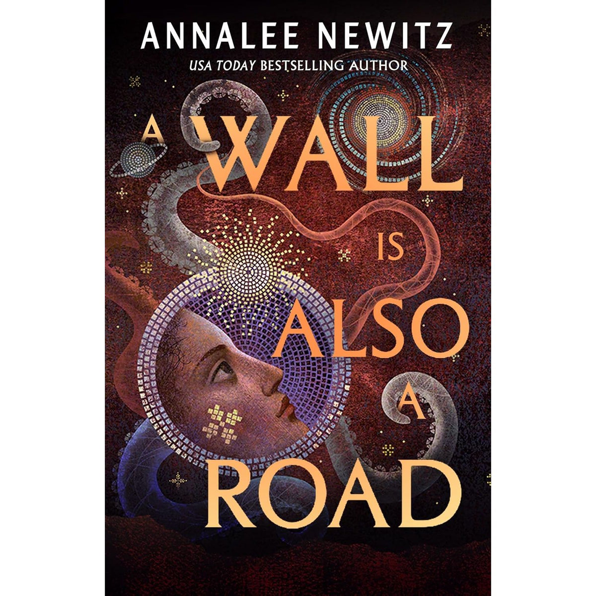 A WALL IS ALSO A ROAD BY ANNALEE NEWITZ