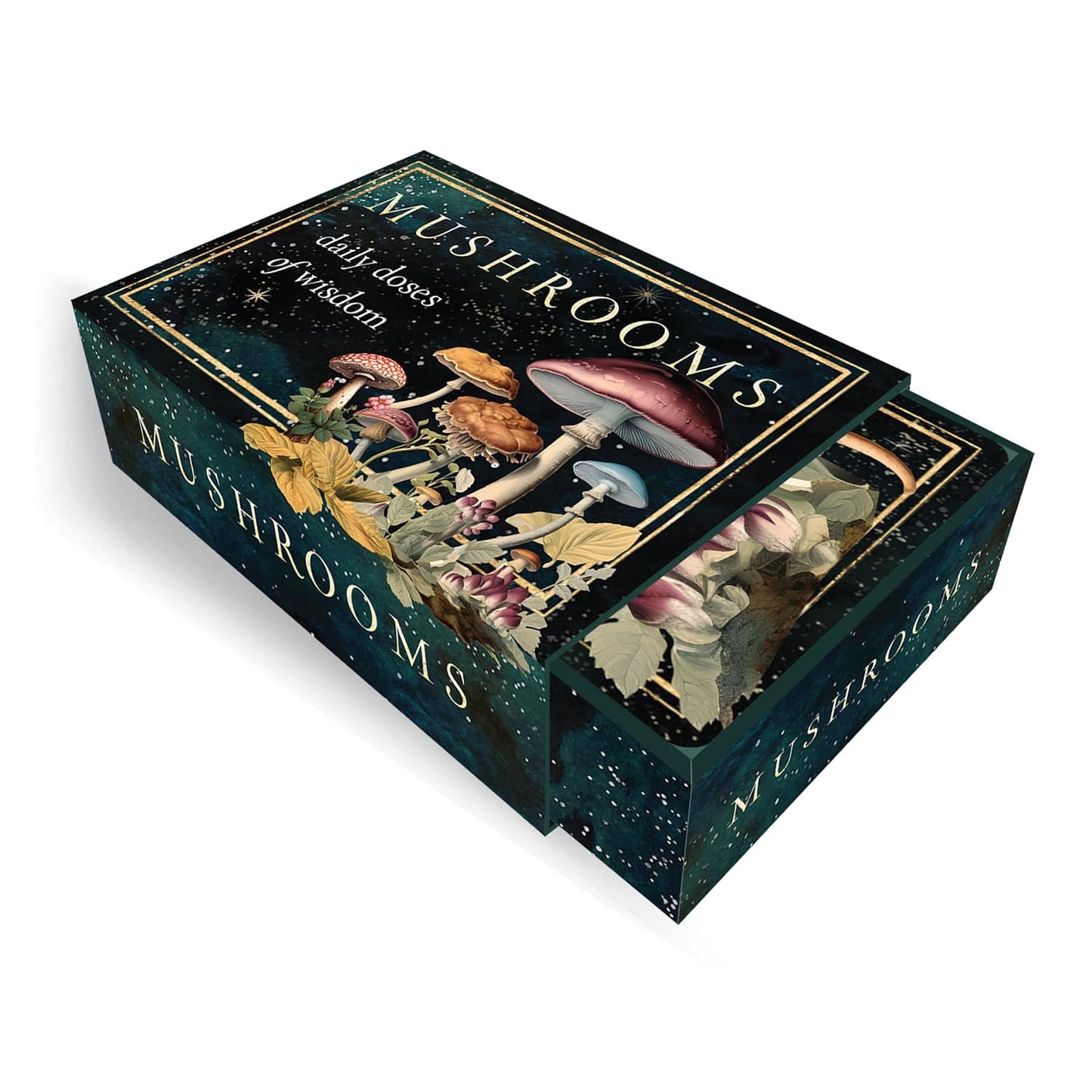 MUSHROOMS: DAILY DOSES OF WISDOM CARDS