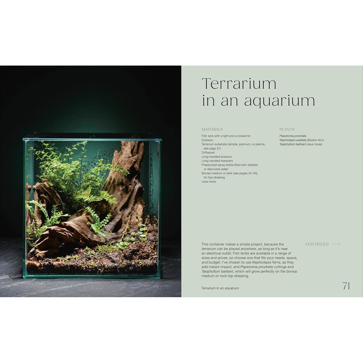 HELLO TINY WORLD BY BEN NEWELL