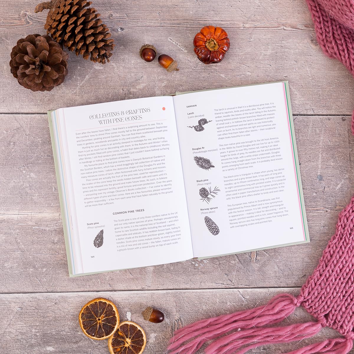 SLOW SEASONS: A CREATIVE GUIDE TO RECONNECTING WITH NATURE THE CELTIC WAY BY ROSIE STEER