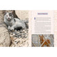 STREET CATS AND WHERE TO FIND THEM: THE MOST FELINE-FRIENDLY CITIES AND ATTRACTIONS AROUND THE WORLD BY JEFF BOGLE