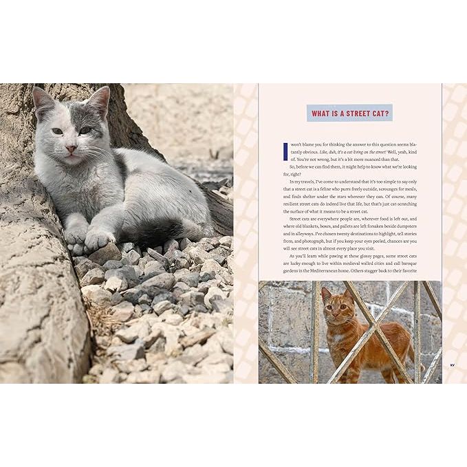 STREET CATS AND WHERE TO FIND THEM: THE MOST FELINE-FRIENDLY CITIES AND ATTRACTIONS AROUND THE WORLD BY JEFF BOGLE