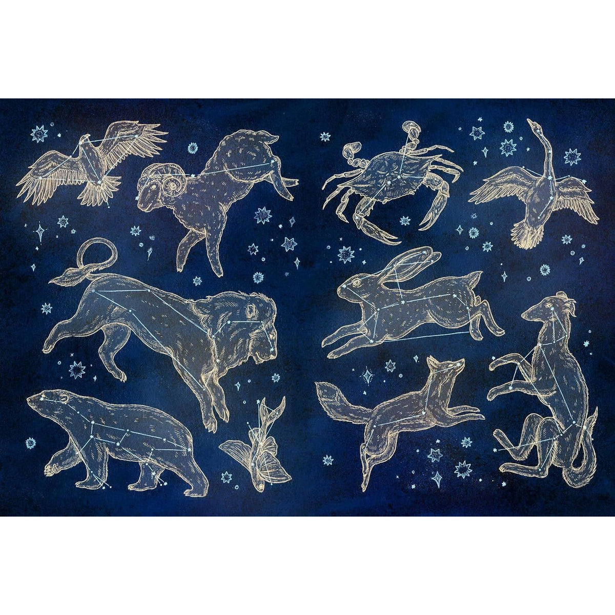 THE COLLECTOR'S CURIO: A STICKER TREASURY BY JESSICA ROUX