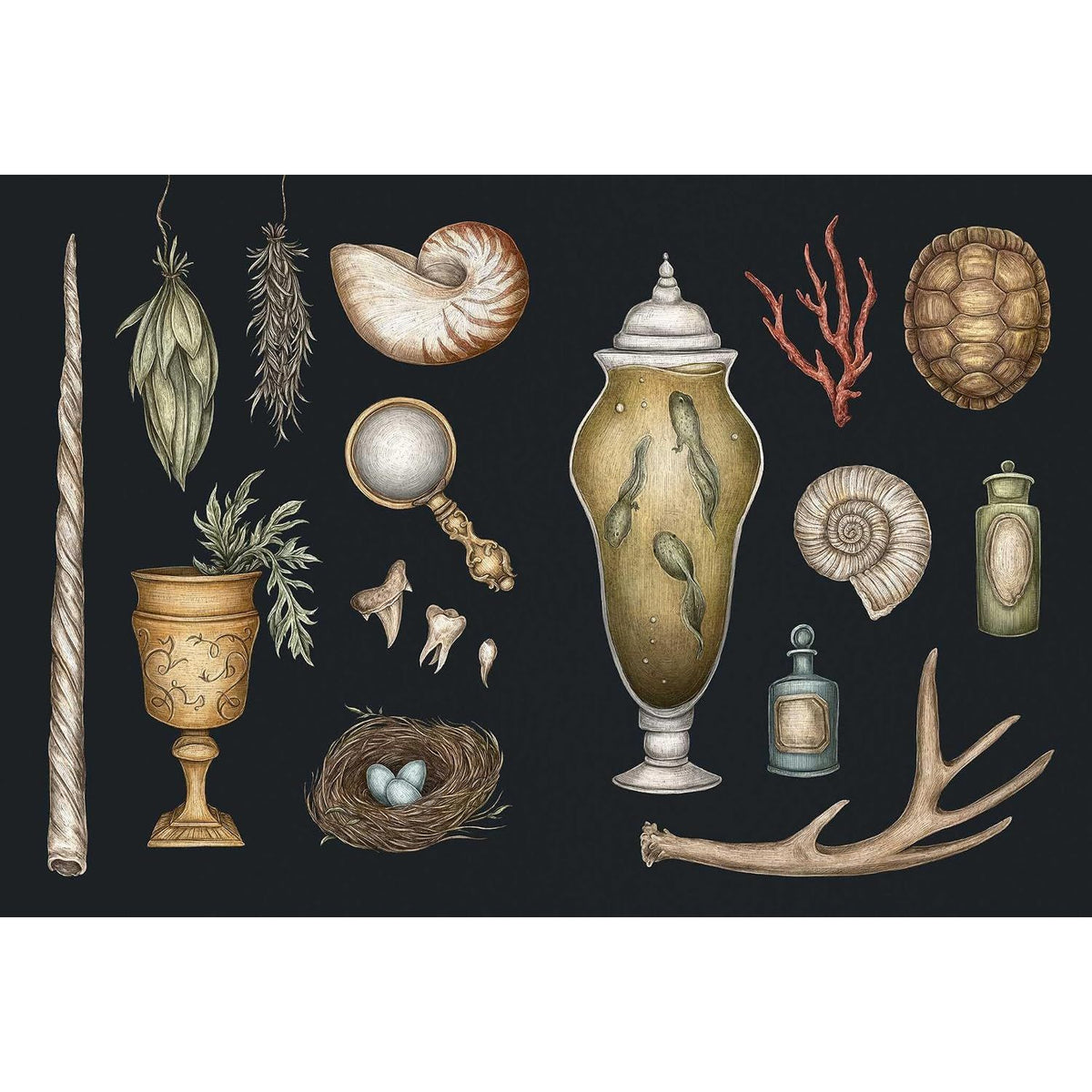 THE COLLECTOR'S CURIO: A STICKER TREASURY BY JESSICA ROUX