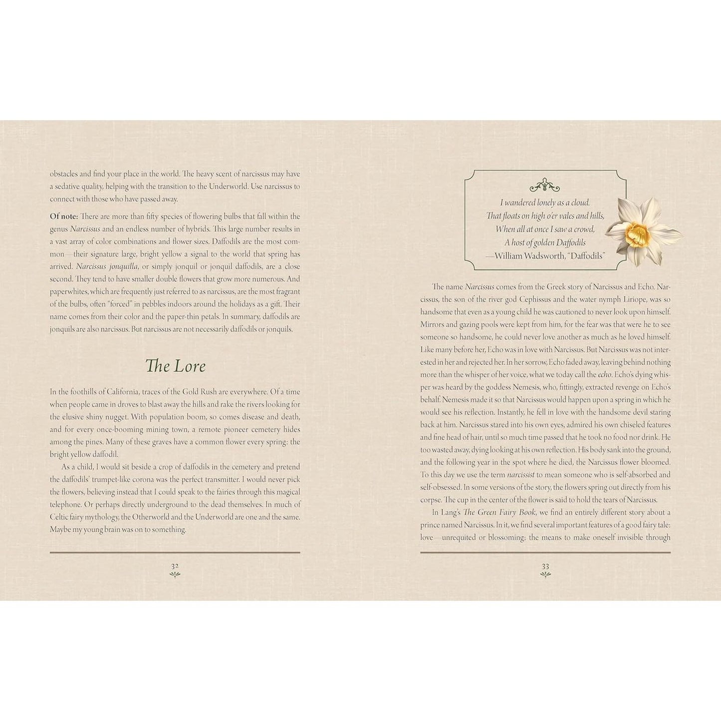 ENCHANTED PLANTS: A TREASURY OF BOTANICAL FOLKLORE & MAGIC BY VARLA VENTURA