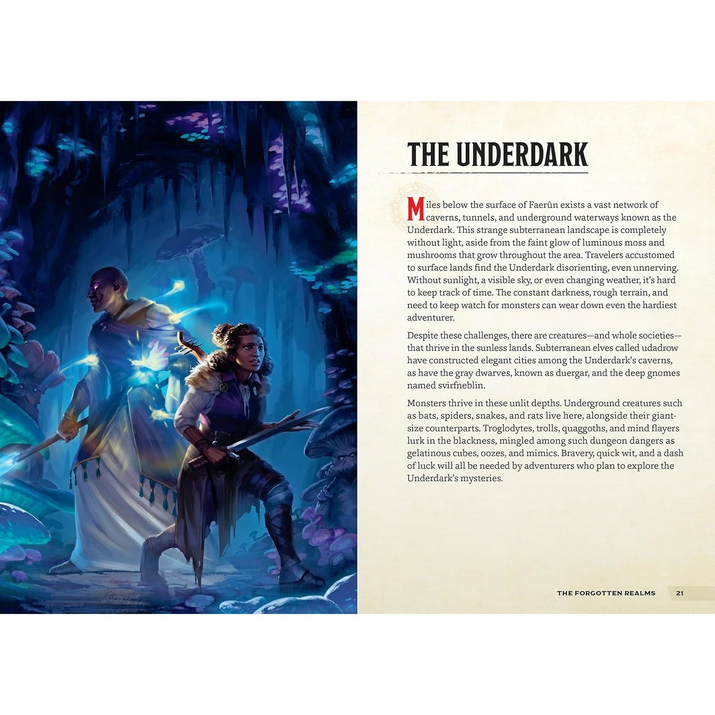 D&D PLACES AND PORTALS (A YOUNG ADVENTURER'S GUIDE)