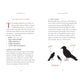 POCKET NATURE: BIRD WATCHING
