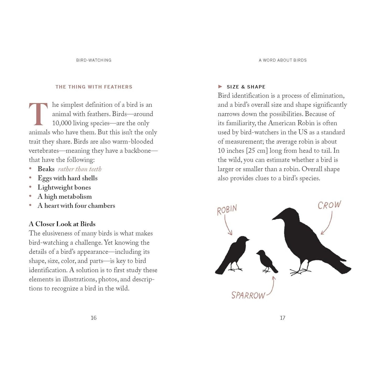 POCKET NATURE: BIRD WATCHING