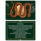 PROTECTION SPELLS MINI CARD SET