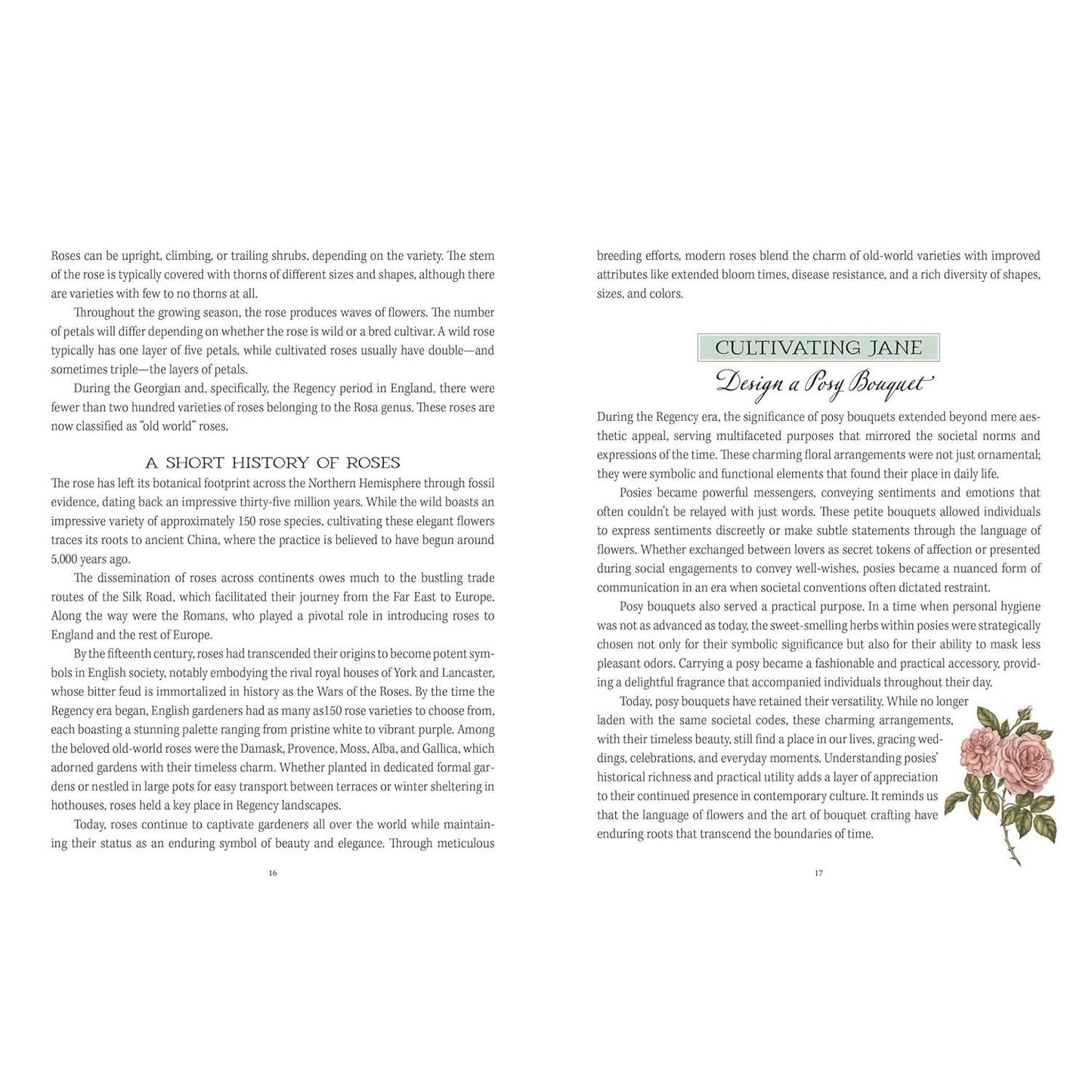 JANE AUSTEN'S GARDEN: A BOTANICAL TOUR OF THE CLASSIC GRAPHIC NOVELS BY MOLLY WILLIAMS AND ILLUSTRATED BY JESSICA ROUX