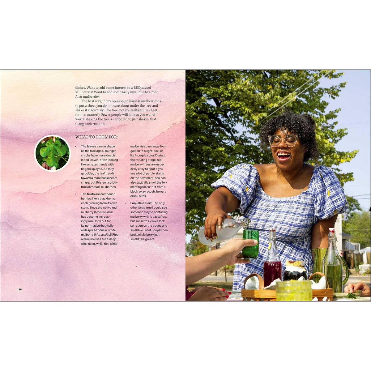 HAPPY SNACKING, DON'T DIE!: FORAGING AND VEGAN RECIPES WITH BLACK FORAGER BY ALEXIS NIKOLE NELSON