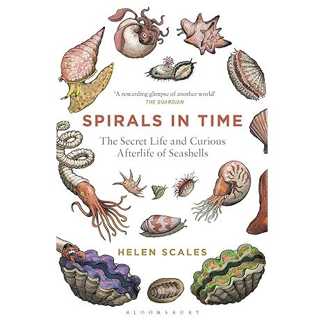 SPIRALS IN TIME: THE SECRET LIFE AND CURIOUS AFTERLIFE OF SEASHELLS BY HELEN SCALES